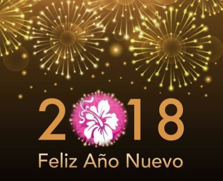 BAD482DC-77F2-4E22-B926-FEF5BD76DAAE